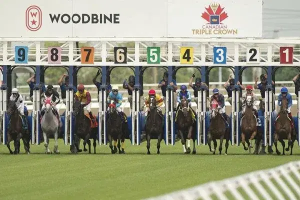 Woodbine Saturday: Breeders’ Cup Prep Analysis, Selections