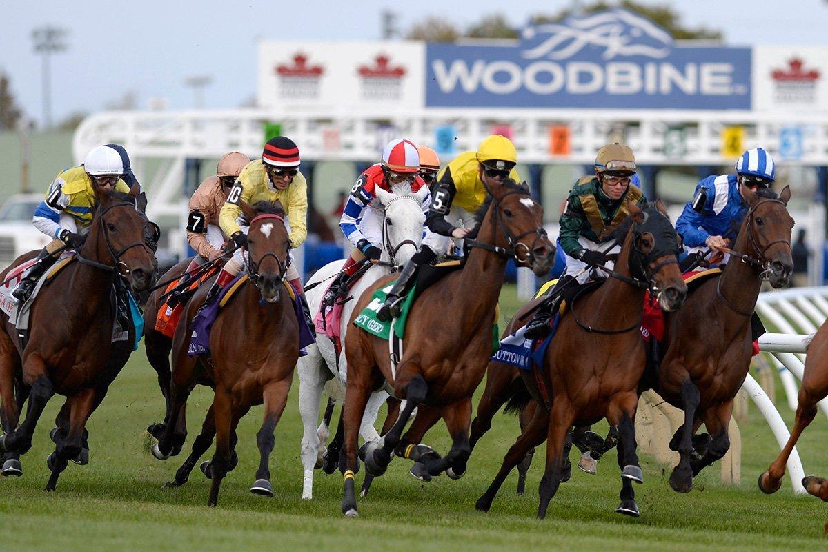 Woodbine Picks: Grade 1 Rogers Woodbine Mile Stakes (09/13/2025)