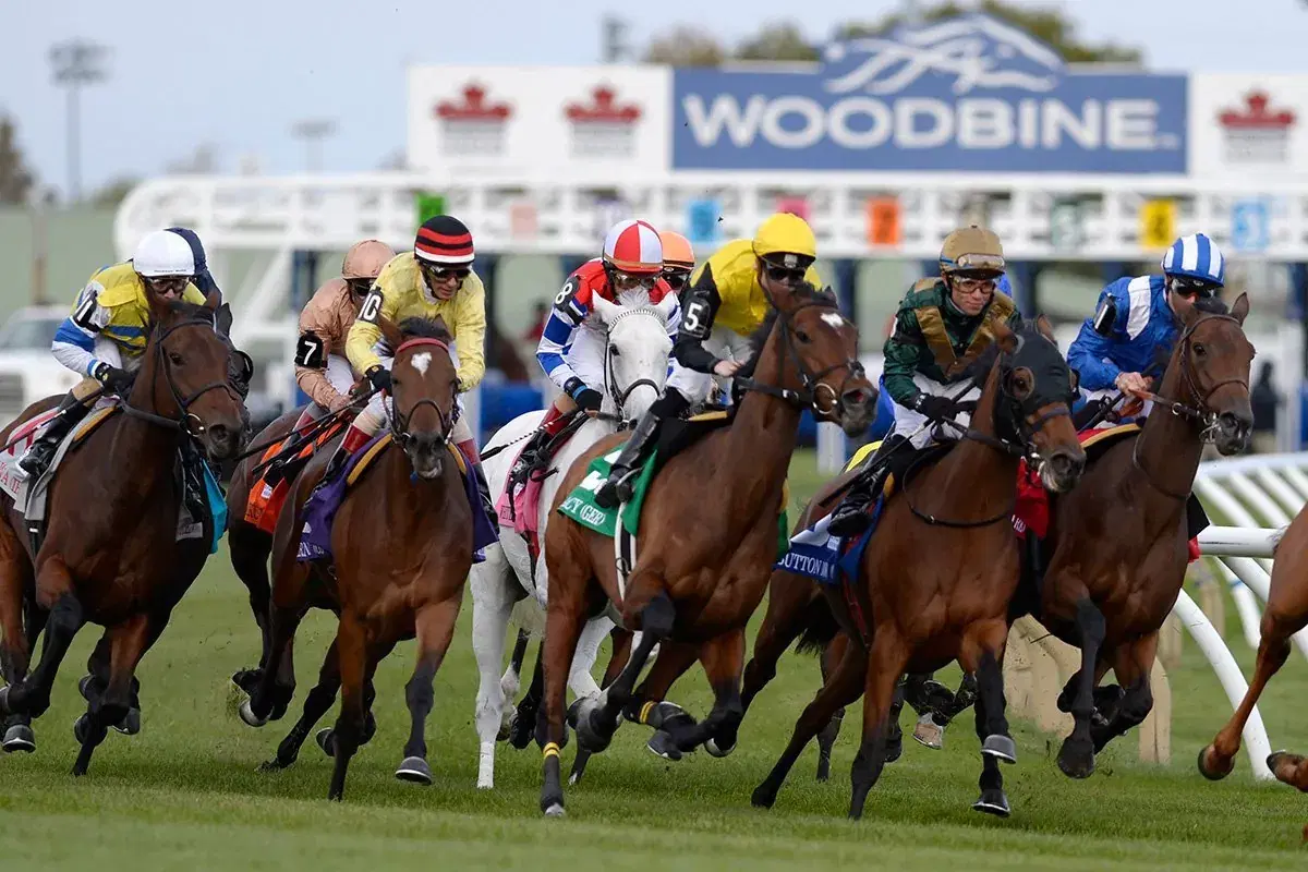 Woodbine Picks: HPIBet Singspiel Stakes (09/06/2025)