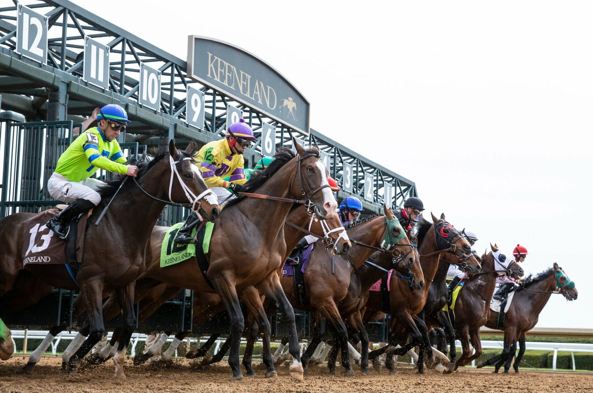 Keeneland Offers Three Breeders’ Cup Bids Saturday, October 7