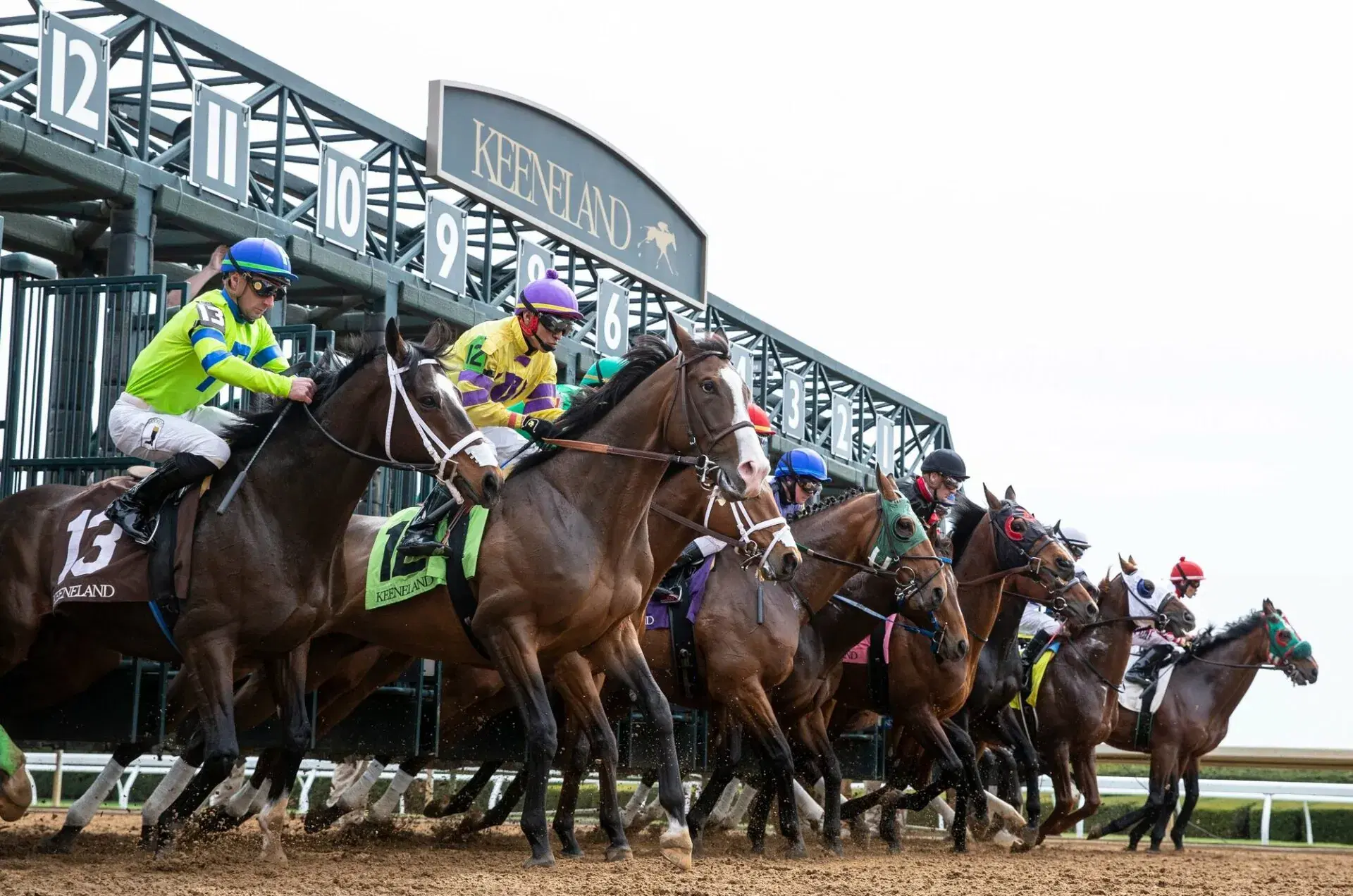 Keeneland Picks: Saturday Hagyard Fayette Stakes (10/25/2025)