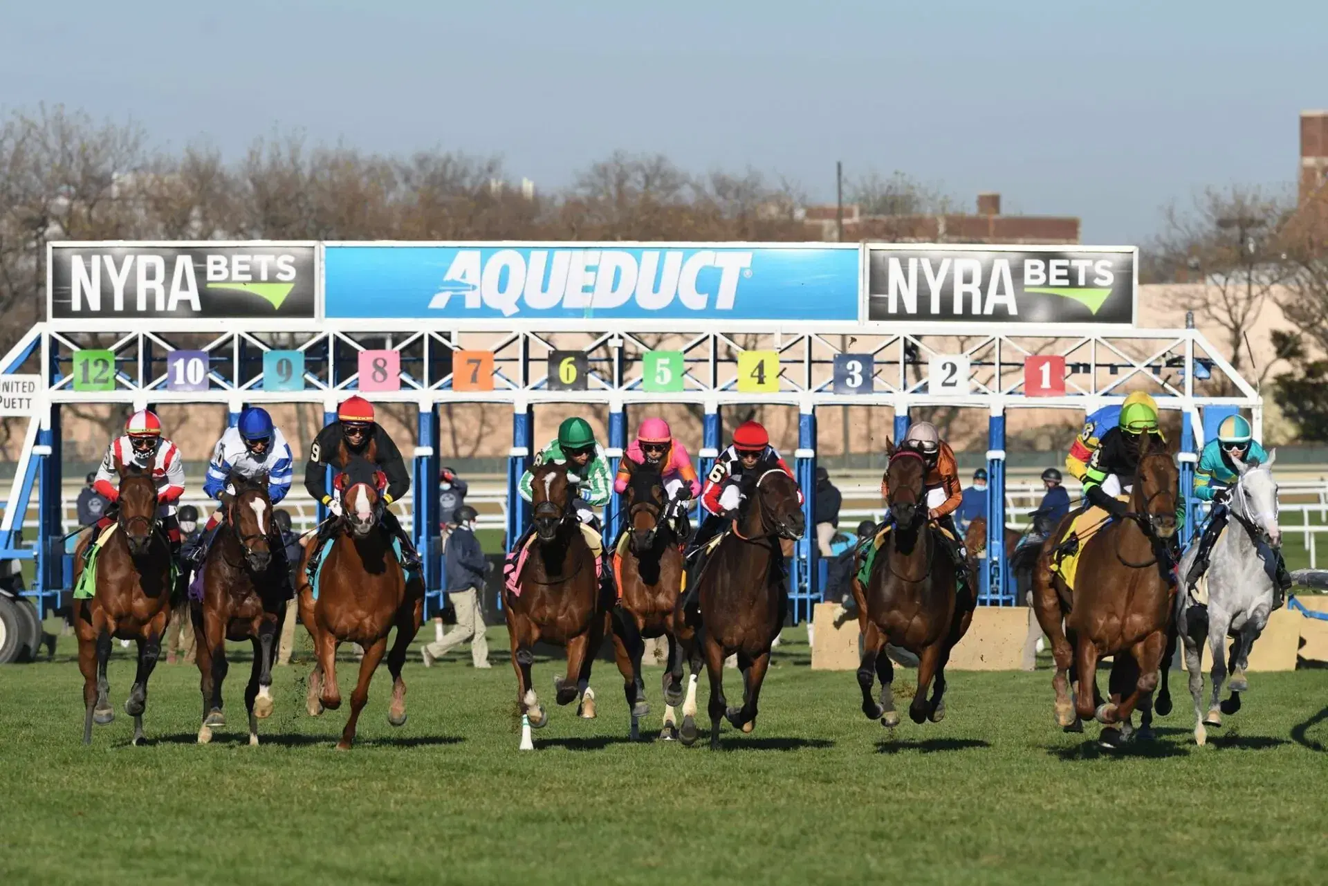 Aqueduct Picks: Mother Goose Stakes (11/08/2025)