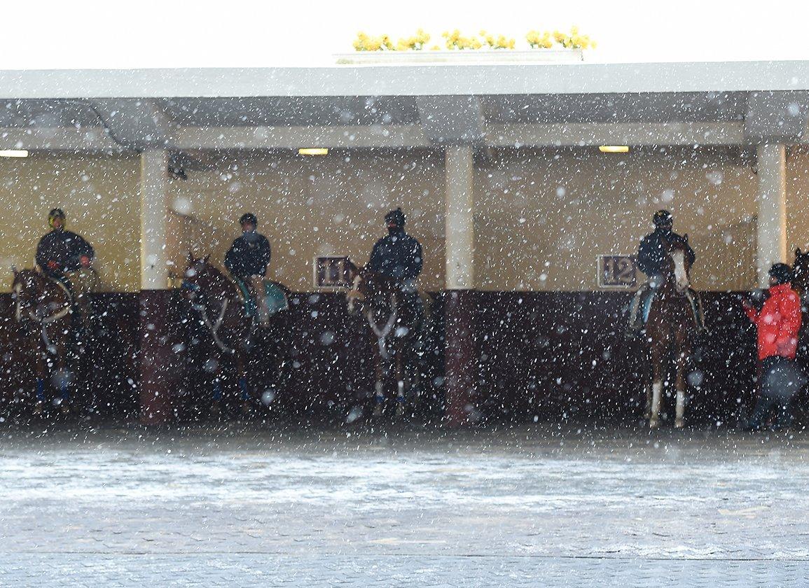 Aqueduct Picks: Saturday Damon Runyon Stakes (2/14/2026)