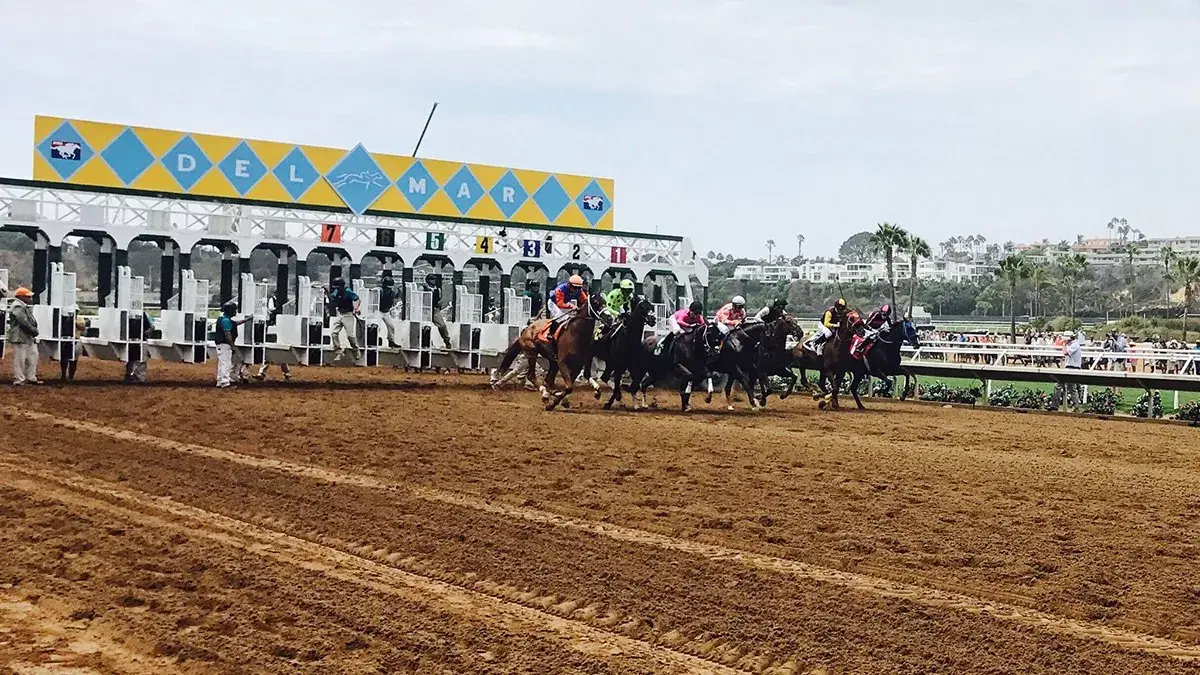Horses leaving the Del Mar Starting Gate