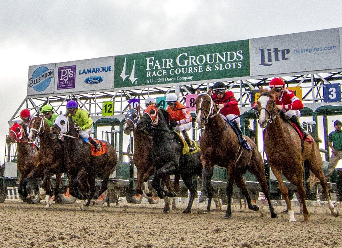 Fair Grounds Park Picks: Louisiana Champions Day (12/13/2025)