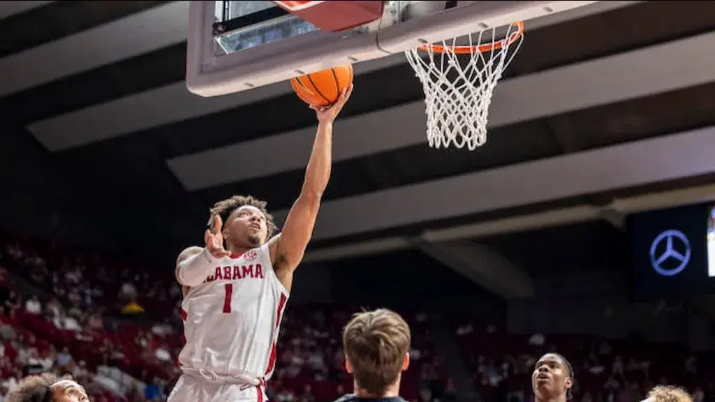 NCAA Basketball Predictions, Odds & Best Bets (11/15)