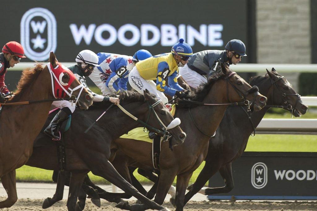 Horses cross the finish line on the Woodbine synthetic - Woodbine Picks