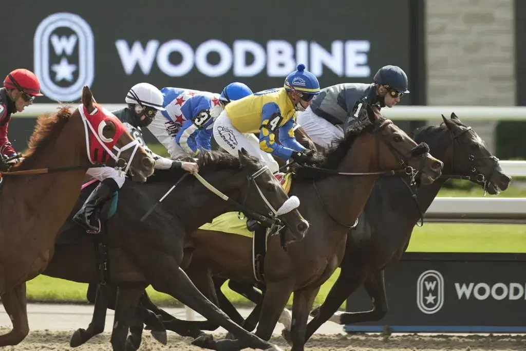 Woodbine Picks: HPIBet Autumn Stakes (11/08/2025)