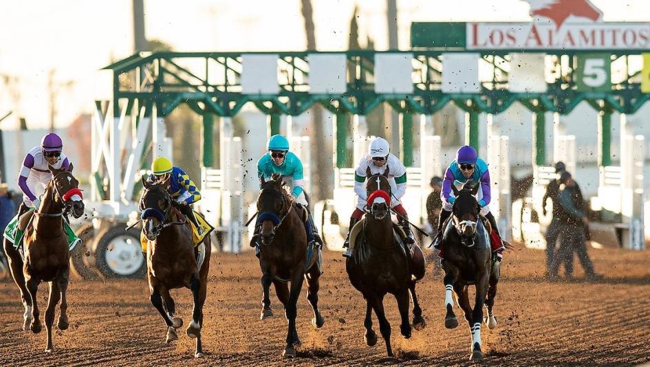 Los Alamitos Race Course Picks- 2024 Los Al Futurity Analysis