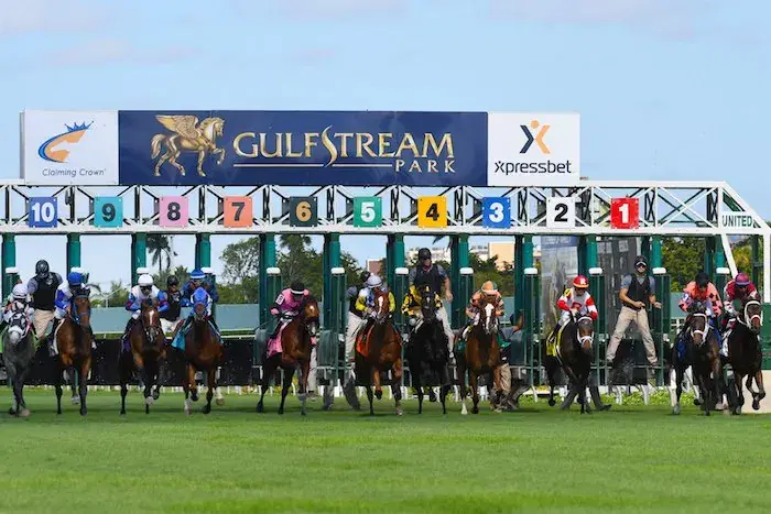 Gulfstream Park Picks- January, 14, 2024: Sunshine Analysis