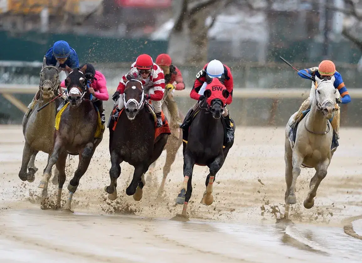 Aqueduct Picks: December 2, 2023 Cigar Mile Analysis cover