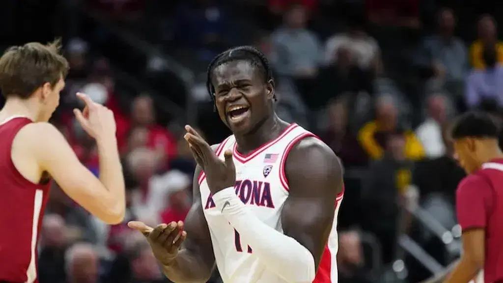 FAU vs Arizona Basketball Prediction & Picks: Will the Wildcats Overwhelm the Owls in Vegas?