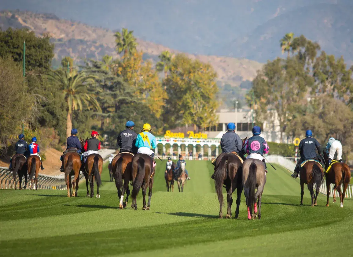 Santa Anita Picks: Daytona Stakes (06/14/2025)