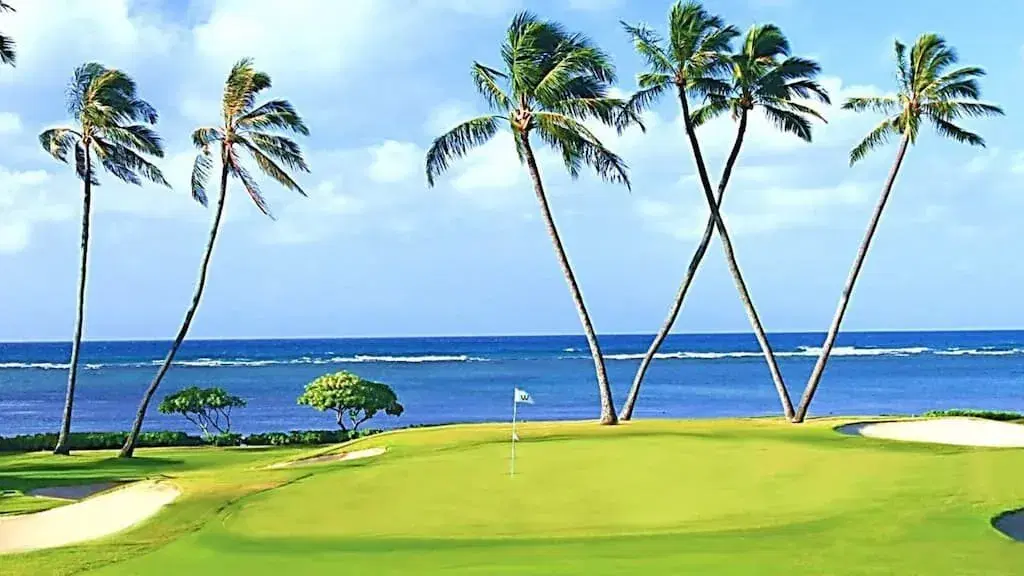 2024 Sony Open in Hawaii Odds, Predictions, Favorites & Picks: Two-Time Tournament Runner-Up Kirk Seeks Hawaii Sweep
