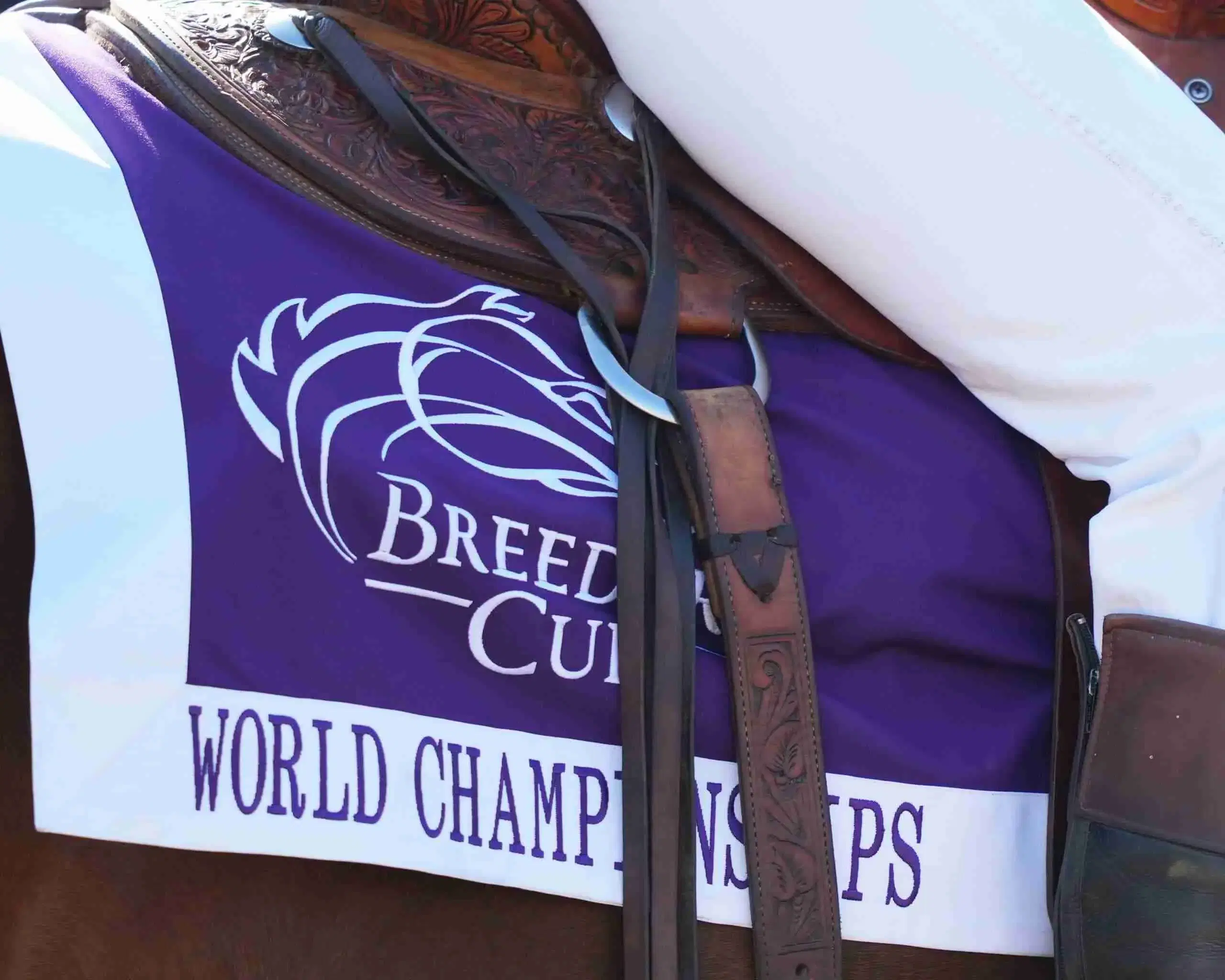 Breeders' Cup Saddle Towel