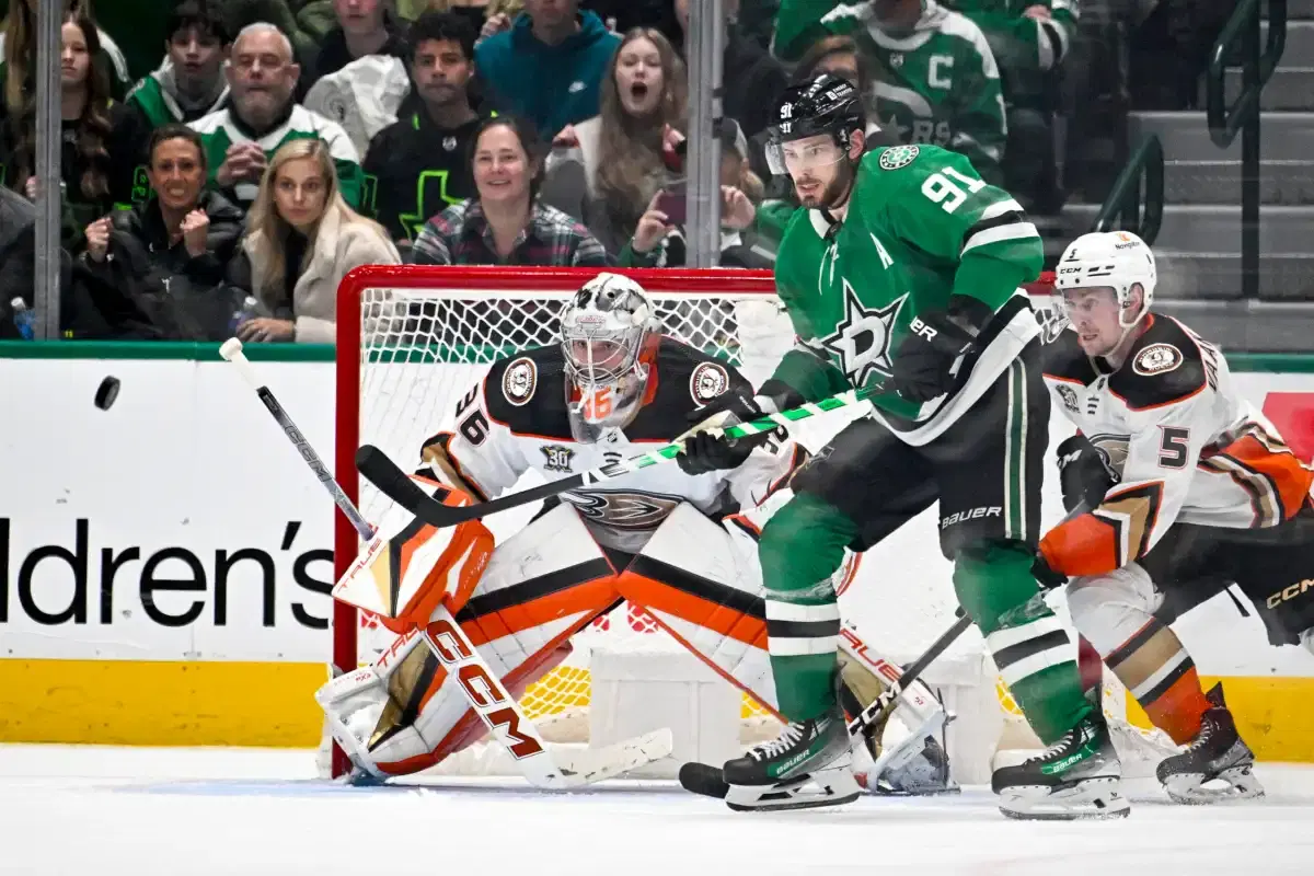 NHL Ducks vs Stars Picks and Odds | November 19, 2024