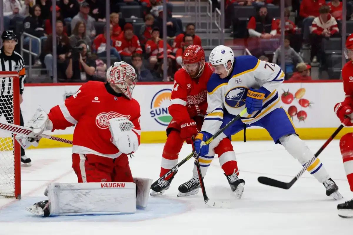 NHL Sabres vs Red Wings Picks and Odds | November 2, 2024