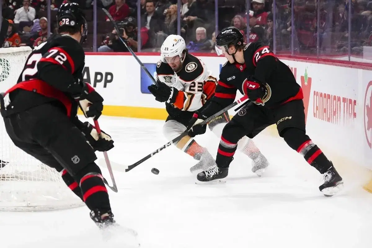 NHL Senators vs Ducks Picks and Odds | December 1, 2024