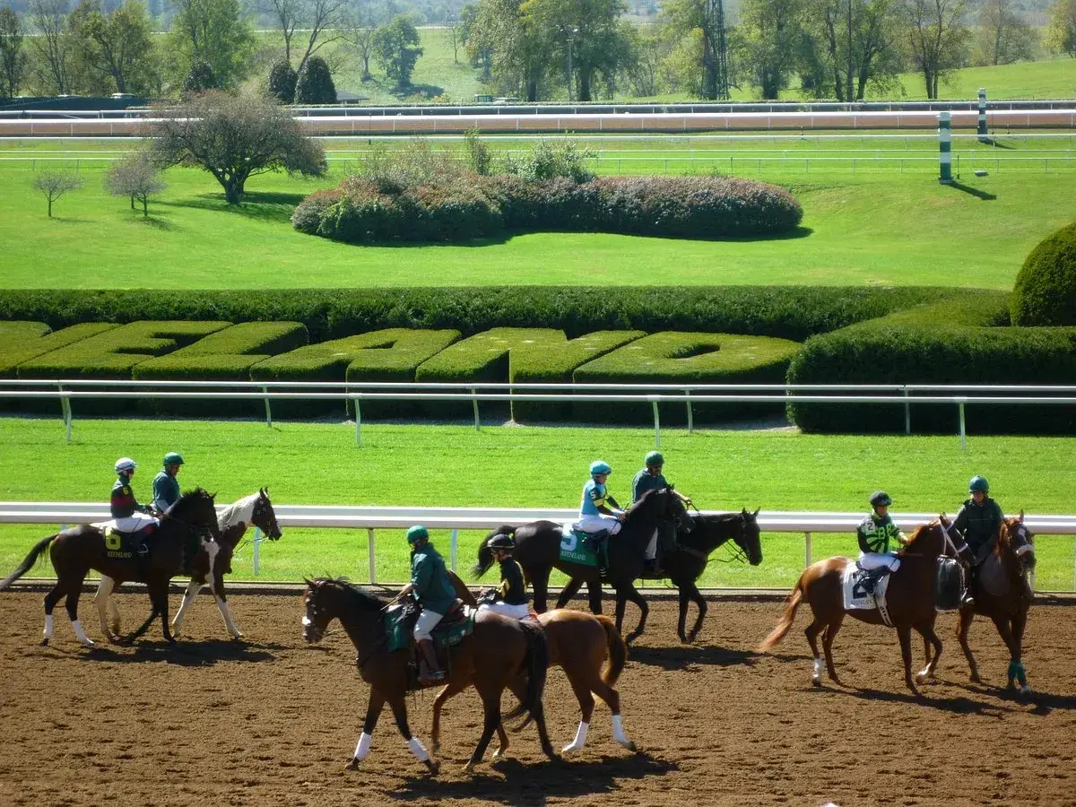 Keeneland Picks: Saturday QE II Challenge Cup Stakes (10/11/25)