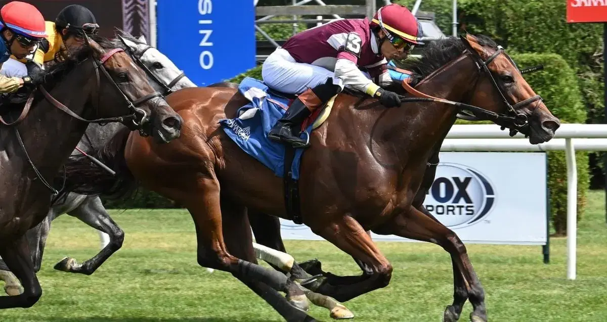 Saratoga Picks: Grade 2 Balston Spa (08/08/2025)