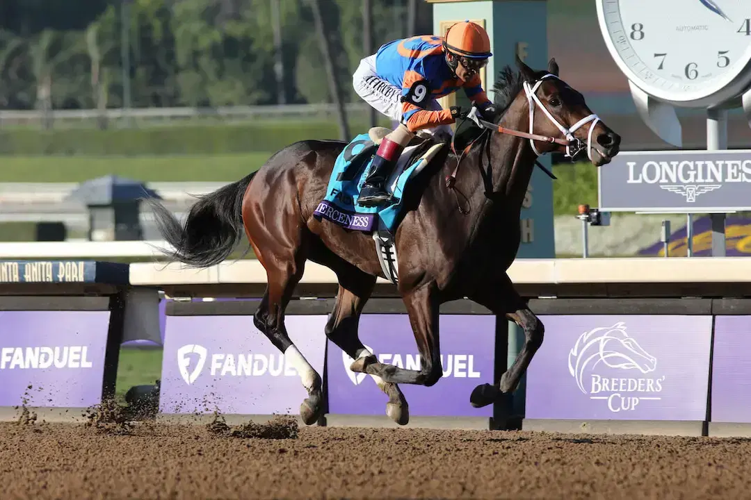Breeders’ Cup Picks: Championship Saturday Race by Race Strategy (11/01/2025)