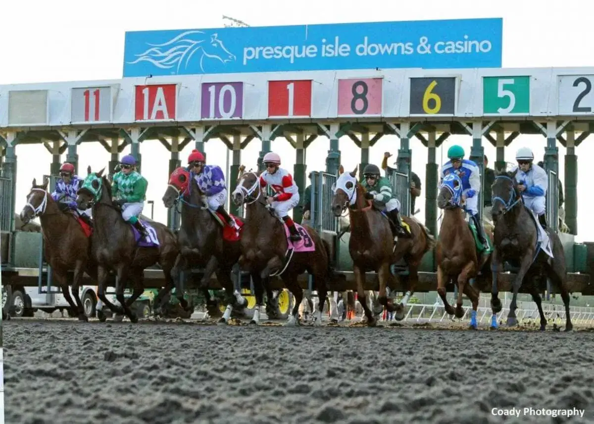 Presque Isle Downs Picks: Presque Isle Downs Masters (09/19/2025)