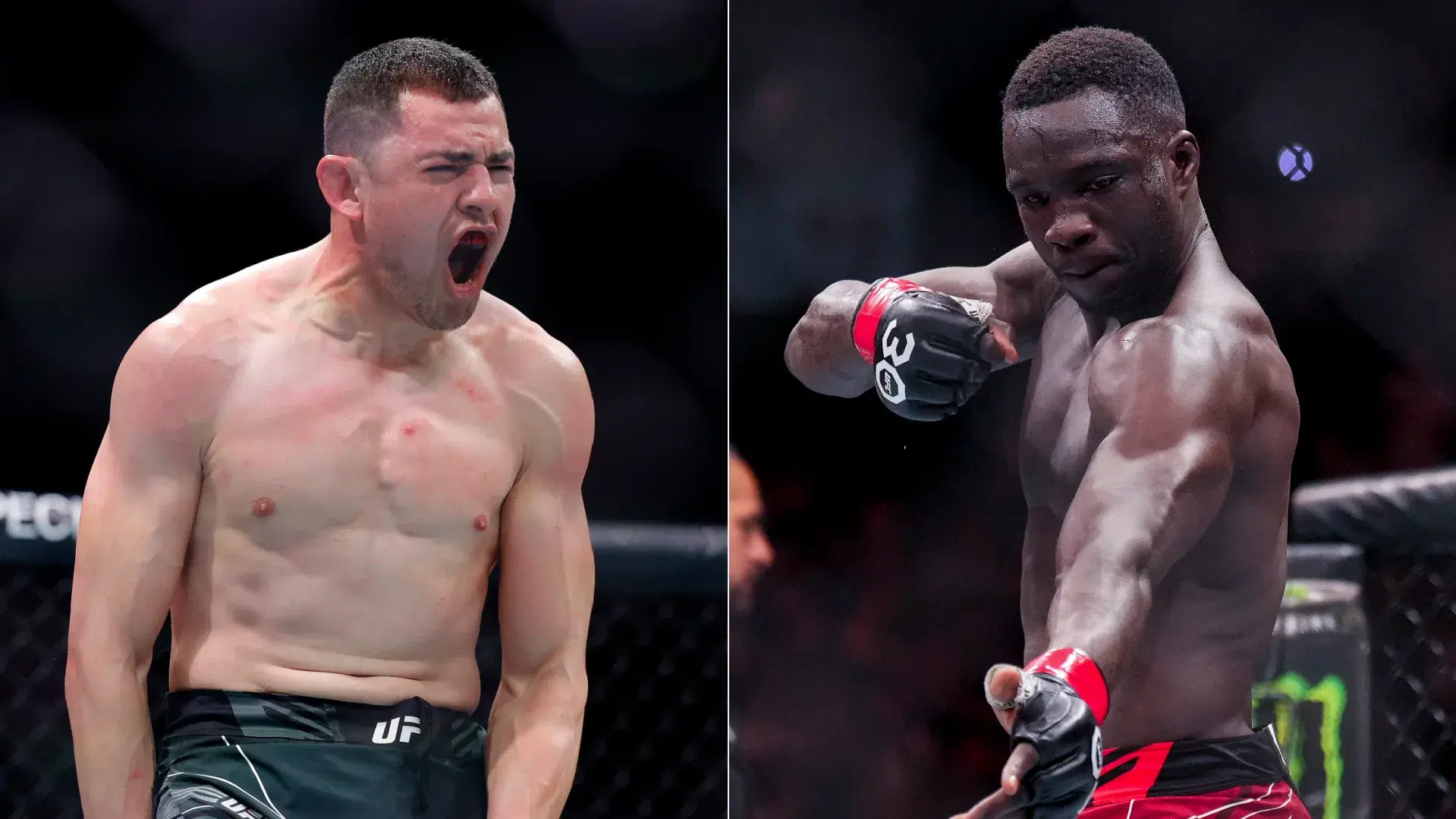 UFC Vegas 110 David Onama vs Steve Garcia Fight Card Preview, Odds, Watch Info & FAQ