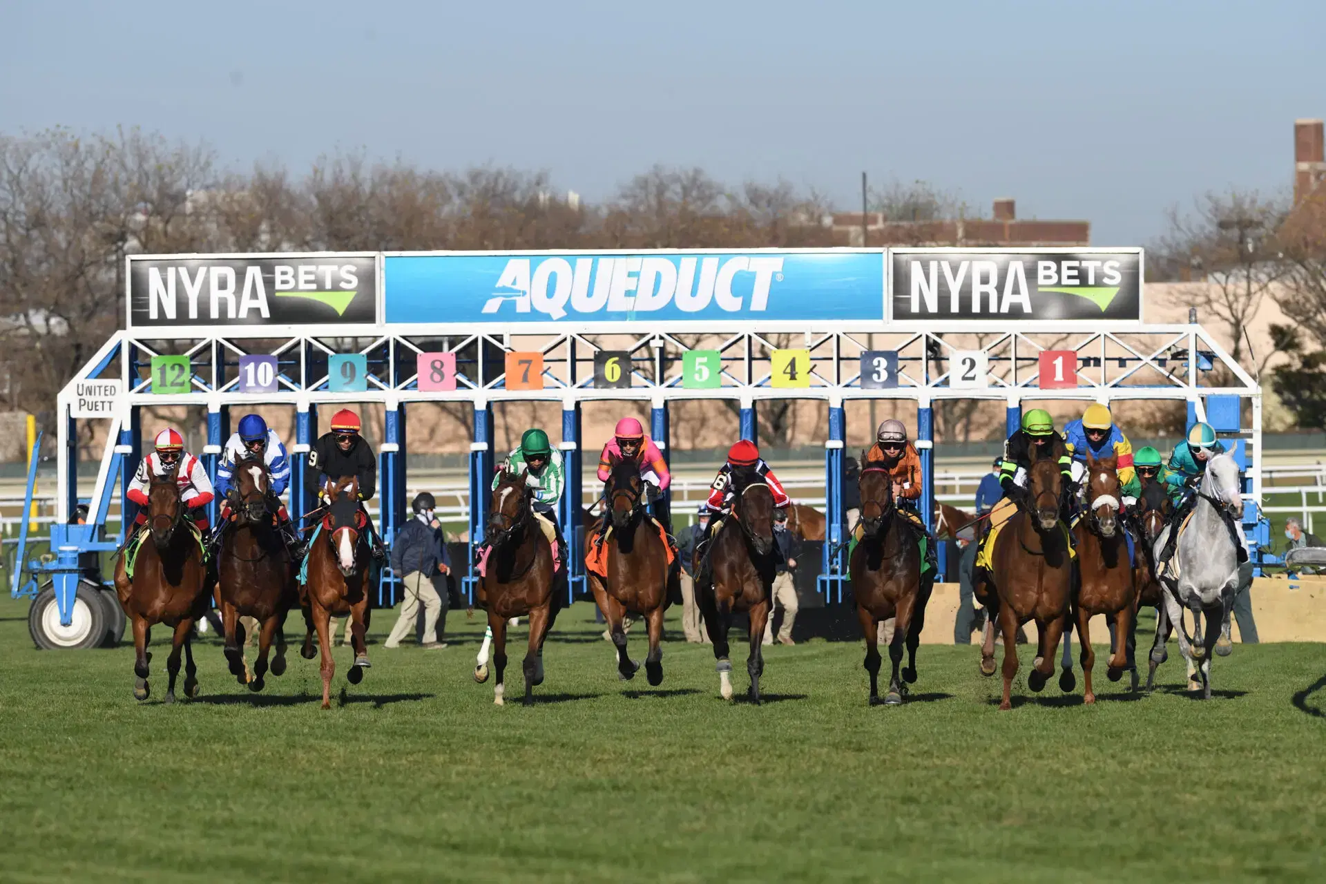 Aqueduct Picks: Jockey Club Oaks Stakes (11/15/2025)