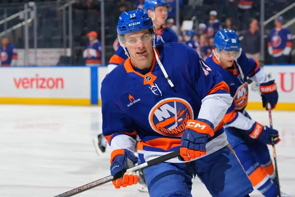 NHL: Blues vs. Islanders Picks and Odds | November 22, 2025