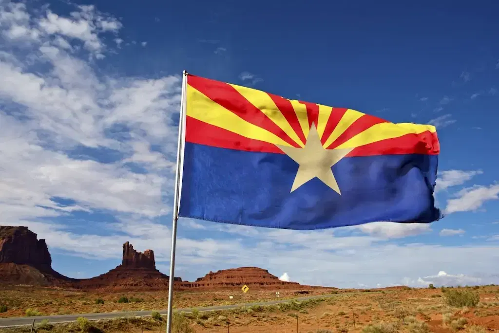 BetOnline Arizona Primary Odds: Hobbs, Feely Favored