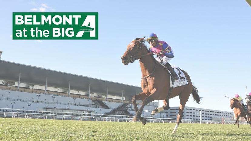 Belmont at the Big A Picks: New York Stallion Series (6/20/2026)