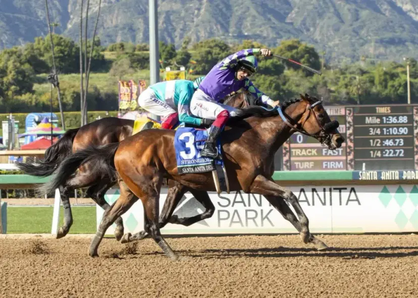 Stronghold gets trainer D'Amato and jockey Fresu in Kentucky Derby - Los Angeles Times