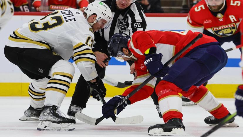 Two players taking a faceoff.