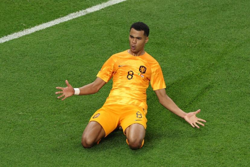 Can the Netherlands bounce back with a big win over Sweden? World Cup Picks