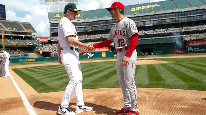 Athletics @ Angels : MLB Predictions, Odds & Best Bets (7/19)