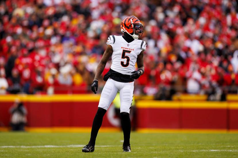 Tee Higgins of the Cincinnati Bengals is a great fantasy value pick