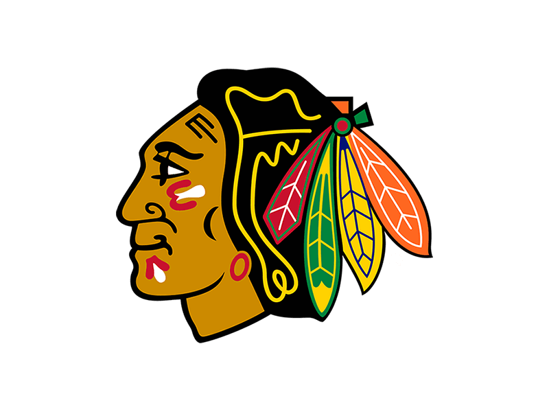 Blackhawks logo