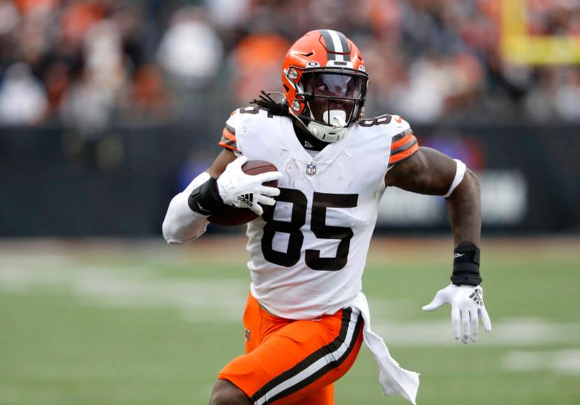 David Njoku brokeout near the end of the season last year, making him a value pick in NFL fantasy this year