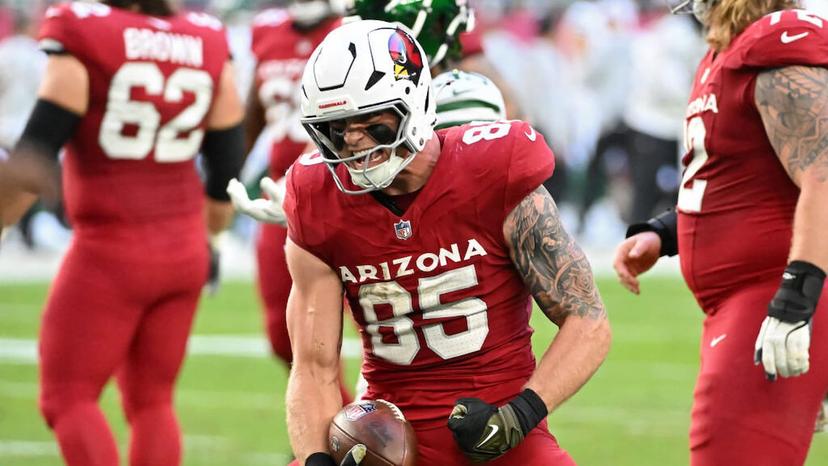 Cardinals vs. Vikings | Week 13 Predictions, Odds & Best Bets