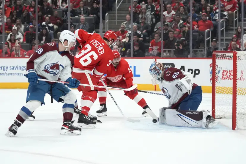 2 Red Wings Players