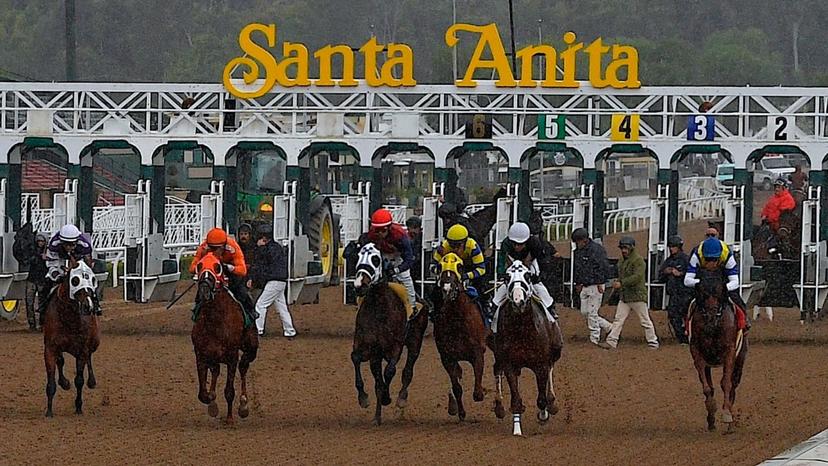 Santa Anita Picks: Grade 3 Summertime Oaks (6/13/2026)