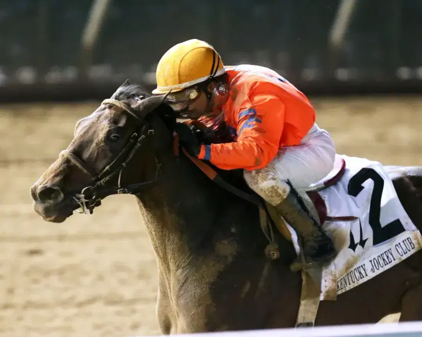 Honor Marie | Horses | Kentucky Derby