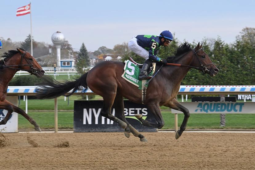 Horse crosses the finish line in first place