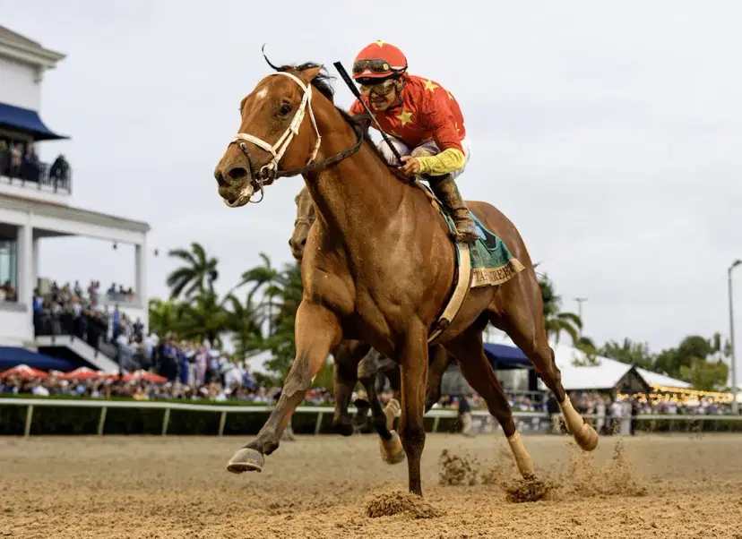 Florida HB 881 Aims to Separate Horse Racing from Gambling