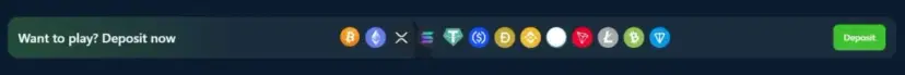 Wild.io Casino Banking Options