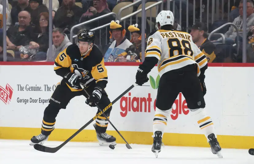 Ryan Shea and David Pastrnak
