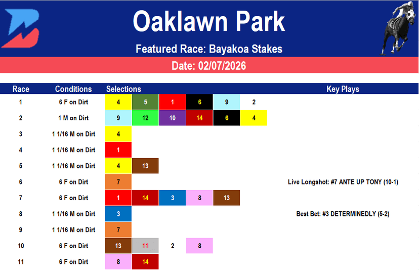 Oaklawn Park Picks: Grade 3 Bayakoa Stakes Analysis (02/07/2026)