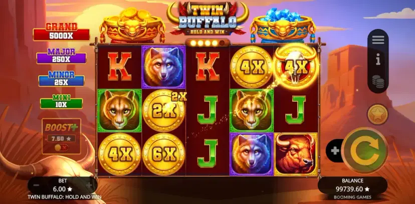 Twin Buffalo: Hold and Win Coin Collection