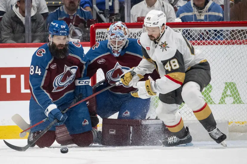 Brent Burns and Tomas Hertl
