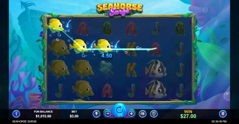 seahorse surge main features